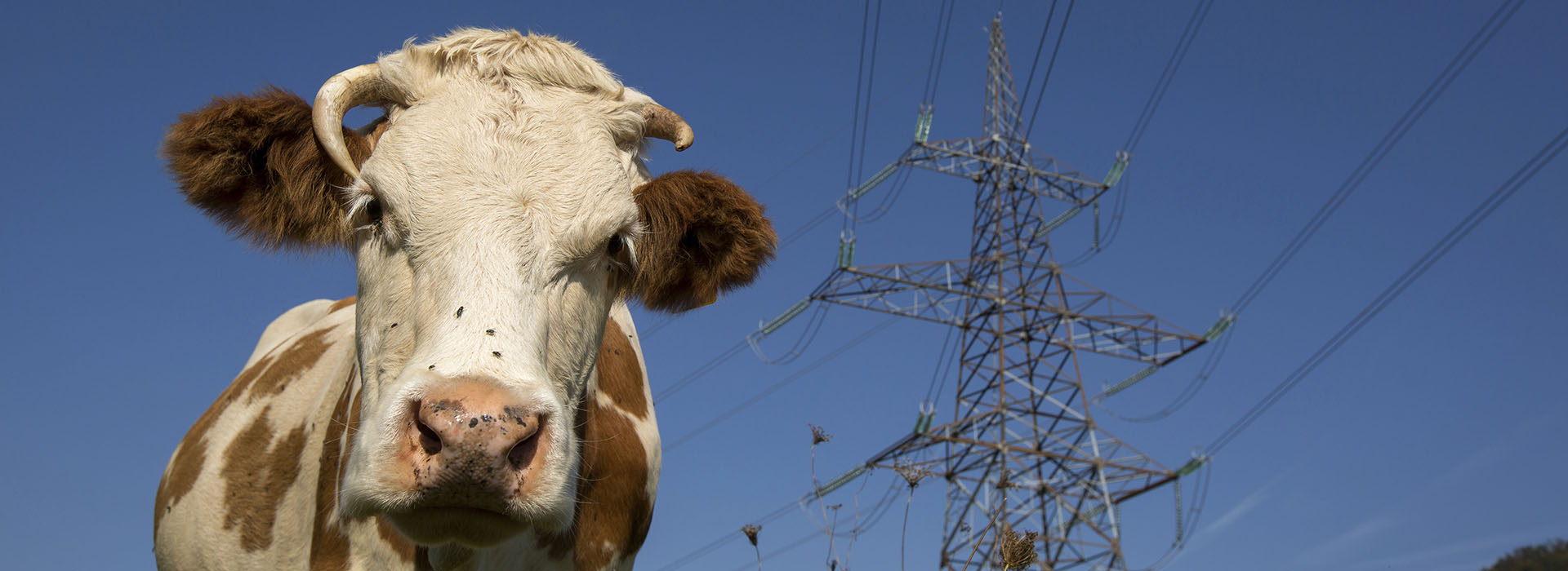 Nieuw actieplan stalbranden